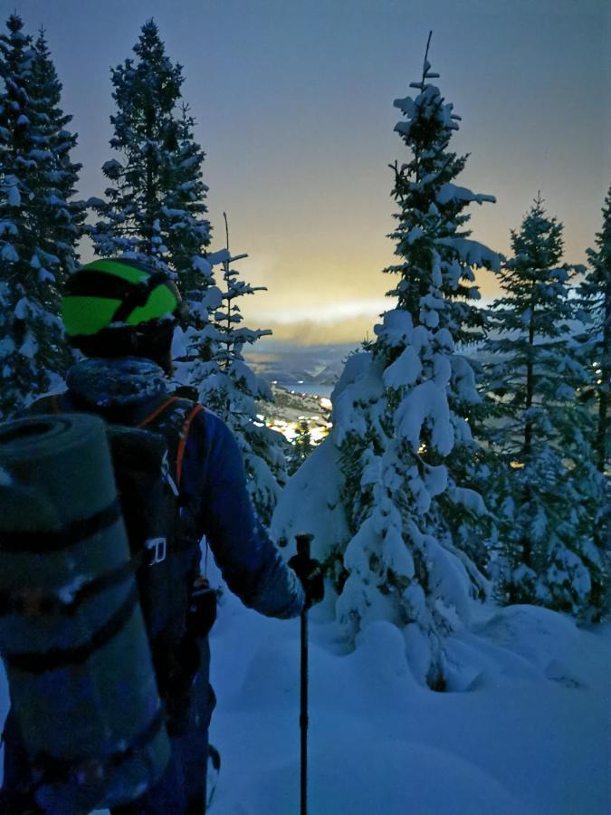 Bjørkelia Lodge Vassenden Eksteriør bilde